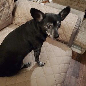 Meet your Posher, Lena